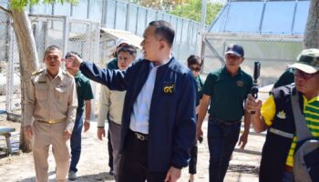 Приюты для обезьян в Пхетчабури будут готовы к марту