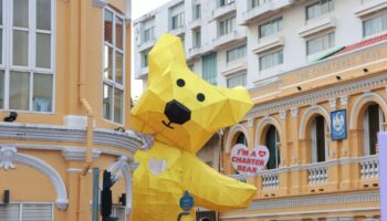 Пхукетский братец-мишка получил официальный статус