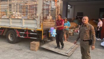 Рейд полиции Бангкока привел к изъятию незаконной контрабанды секс-игрушек