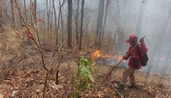 Самый высокий уровень смога на Севере страны