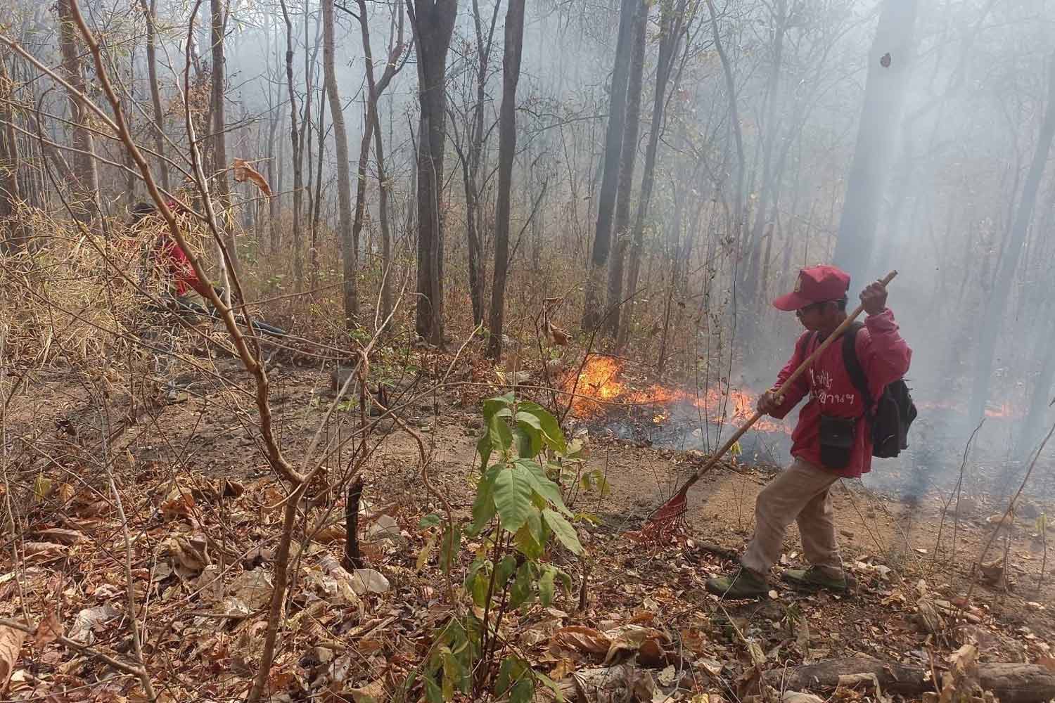 Самый высокий уровень смога на Севере страны