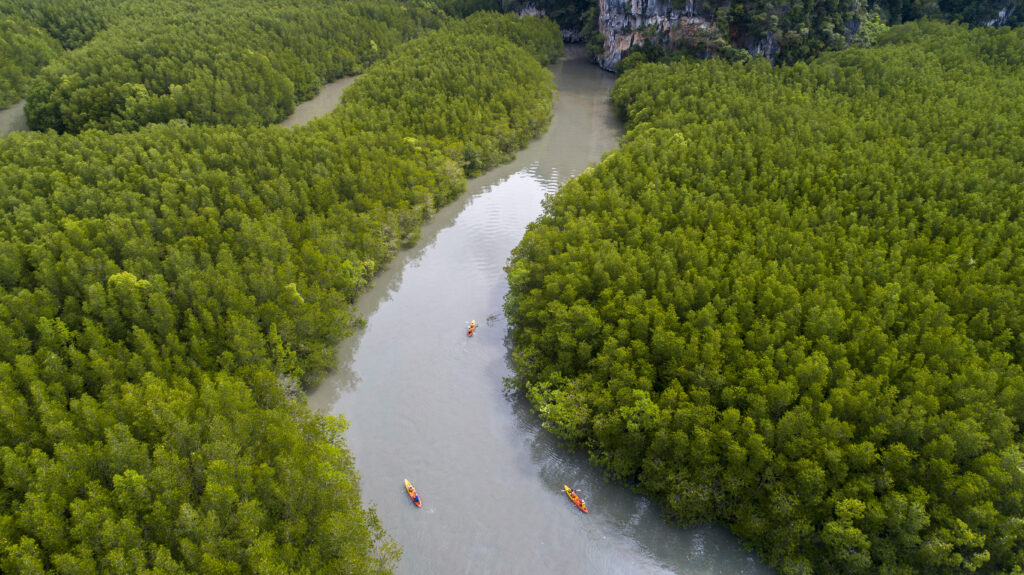 Скажите “Я люблю тебя” в уникальной запоминающейся манере в Таиланде