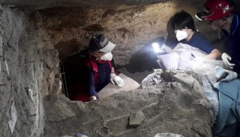 Скелет указывает на доисторическую жизнь