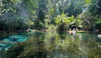 Съемки нового фильма о юрском периоде приведут к росту тайского туризма и числа бронирований отелей