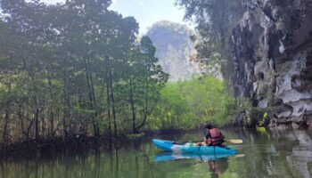 Таиланд привлекает киви своей культурой