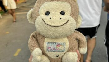 Тайская женщина зарабатывает 30 000 бат за воссоединение мужчины с куклой-обезьяной