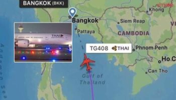 ТАЙСКИЙ рейс совершает вынужденную посадку из-за того, что пассажир перестает дышать