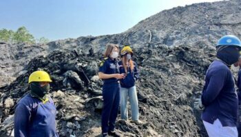 Фруктовое безумие: зараженные дурианы в Китай останавливают тайский экспорт