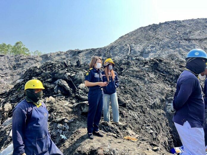 Фруктовое безумие: зараженные дурианы в Китай останавливают тайский экспорт