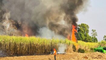 Эксперты высказывают свое мнение о мерах правительства по борьбе с загрязнением окружающей среды PM2,5