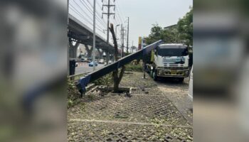 Драма "Рама II": при обрушении автокрана серьезно пострадал человек