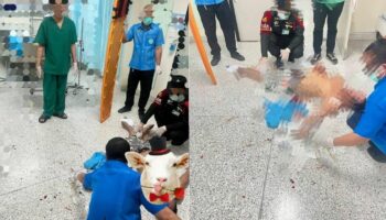 Дыхание беды: у пьяного тайца начались приступы астмы у персонала больницы