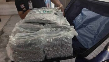 Иностранцы арестованы со 144 кг каннабиса в аэропорту Самуи
