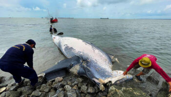 Кит Брайда найден мертвым в Банг-Пу