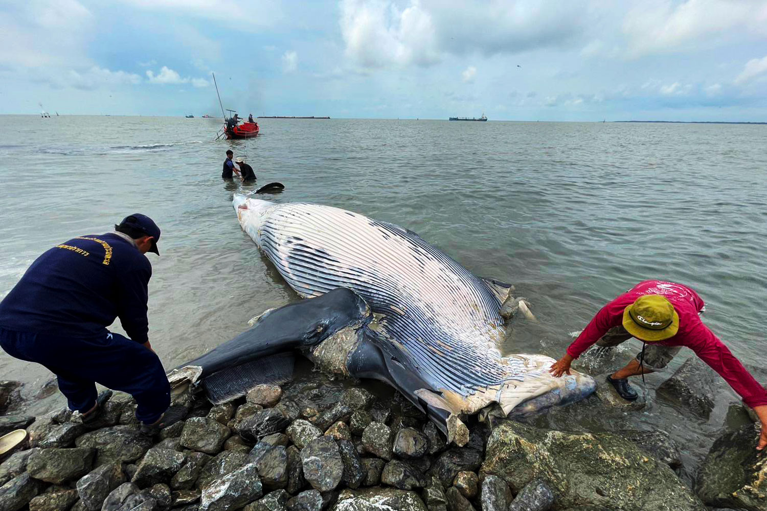 Кит Брайда найден мертвым в Банг-Пу