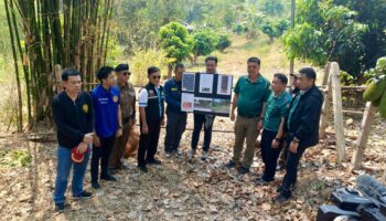 Королевский лесной департамент расследует незаконную продажу земли в Чиангмае