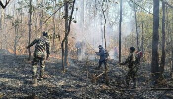 Лесные пожары привели к закрытию парка в Северном Таиланде на неопределенный срок