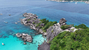 Начальника морского парка отстранили от должности из-за незаконной продажи билетов