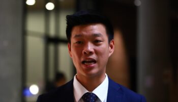 Не считай своих цыплят