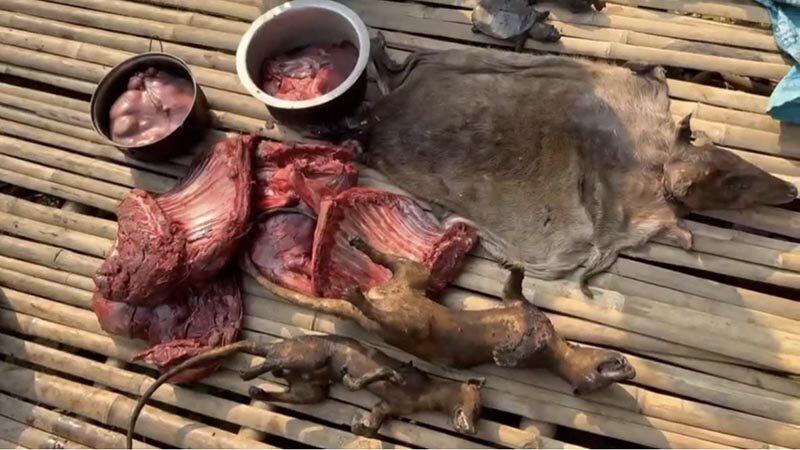 Одиннадцать человек арестованы за незаконную добычу золота в Канчанабури