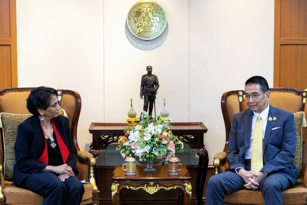 Организация Объединенных Наций призывает Таиланд к сотрудничеству во имя устойчивого будущего