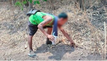 Поджигатель лесного пожара заключен в тюрьму и оштрафован на 133 миллиона батов