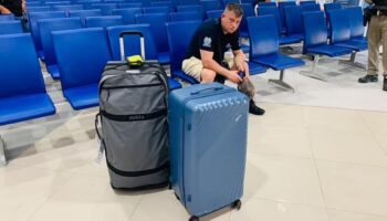 Попался! ‘Рискованная’ поездка британца привела к неприятностям в Краби