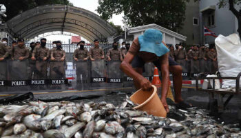 Премьер-министр "неравнодушен" к бедам фермеров
