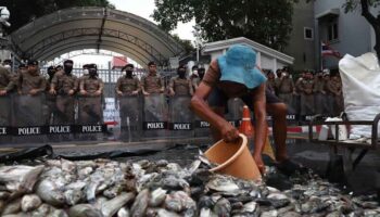 Премьер-министр Паэтонгтарн защищает семейное времяпрепровождение на фоне протеста фермеров