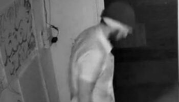 Пылающий бандит: иностранный вор проник в магазин марихуаны на Пхукете