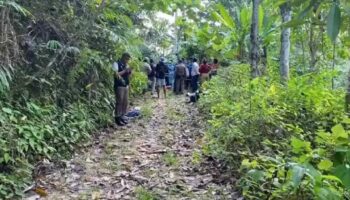 Рабочий каучуковой плантации застрелен в Накхонситхаммарате