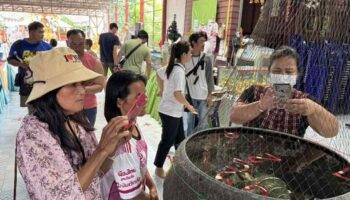 Скит Аюттхая привлекает толпы людей в поисках благословений и счастливых чисел