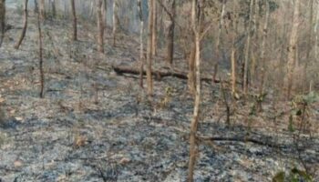 Сотрудник лесной пожарной охраны в Пхаяо погиб во время патрулирования