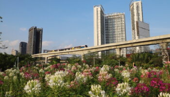 Таиланд борется с незаконной посуточной арендой кондоминиумов