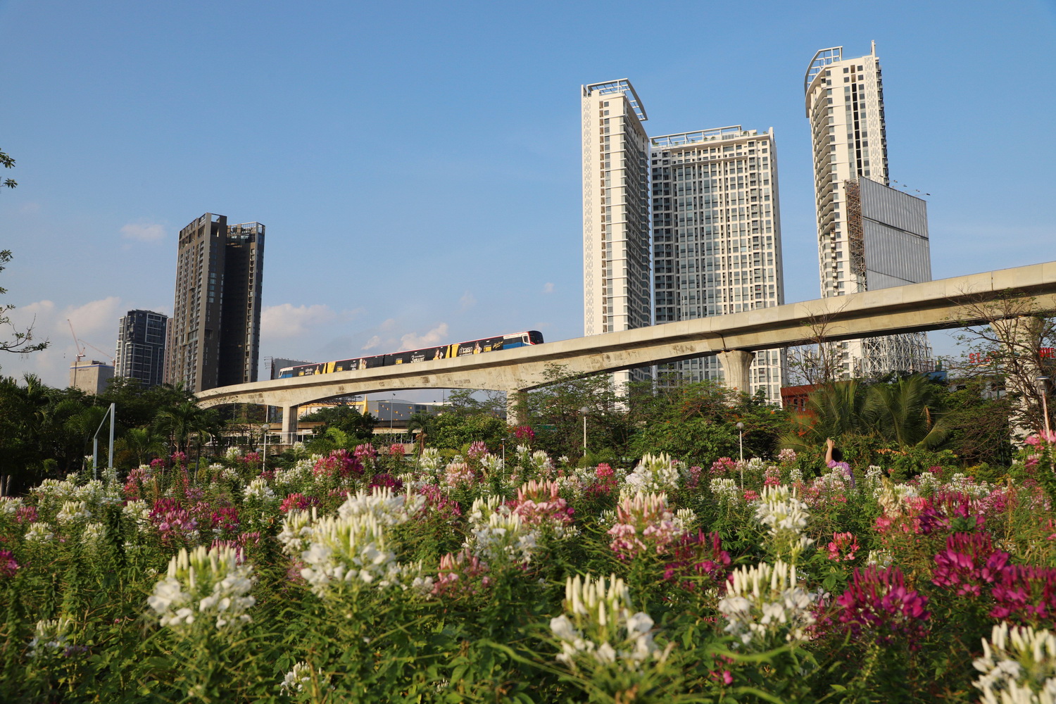 Таиланд борется с незаконной посуточной арендой кондоминиумов