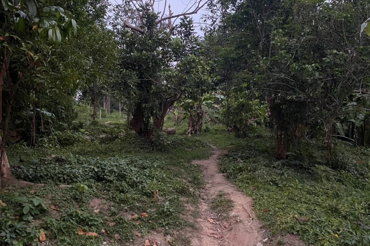 Тайский мужчина позвонил жене перед тем, как пропасть на горе Пхукет