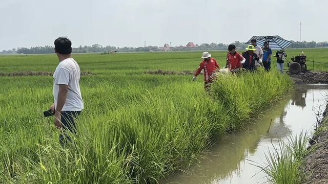 Трагический несчастный случай в Банг Па Хане: человек погиб под лезвием газонокосилки