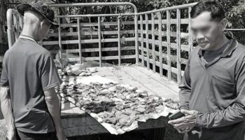 2 тайских мужчины признались, что убили собаку ради вяленого мяса в Са-Каео