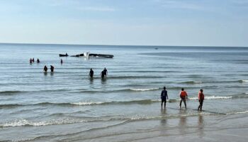 Авиакатастрофа в Ча-Аме: четверо погибших при падении полицейского самолета в море