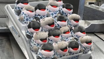 Аэропорты Таиланда встречают путешественников с куклами Му Дэн на Сонгкран (видео)