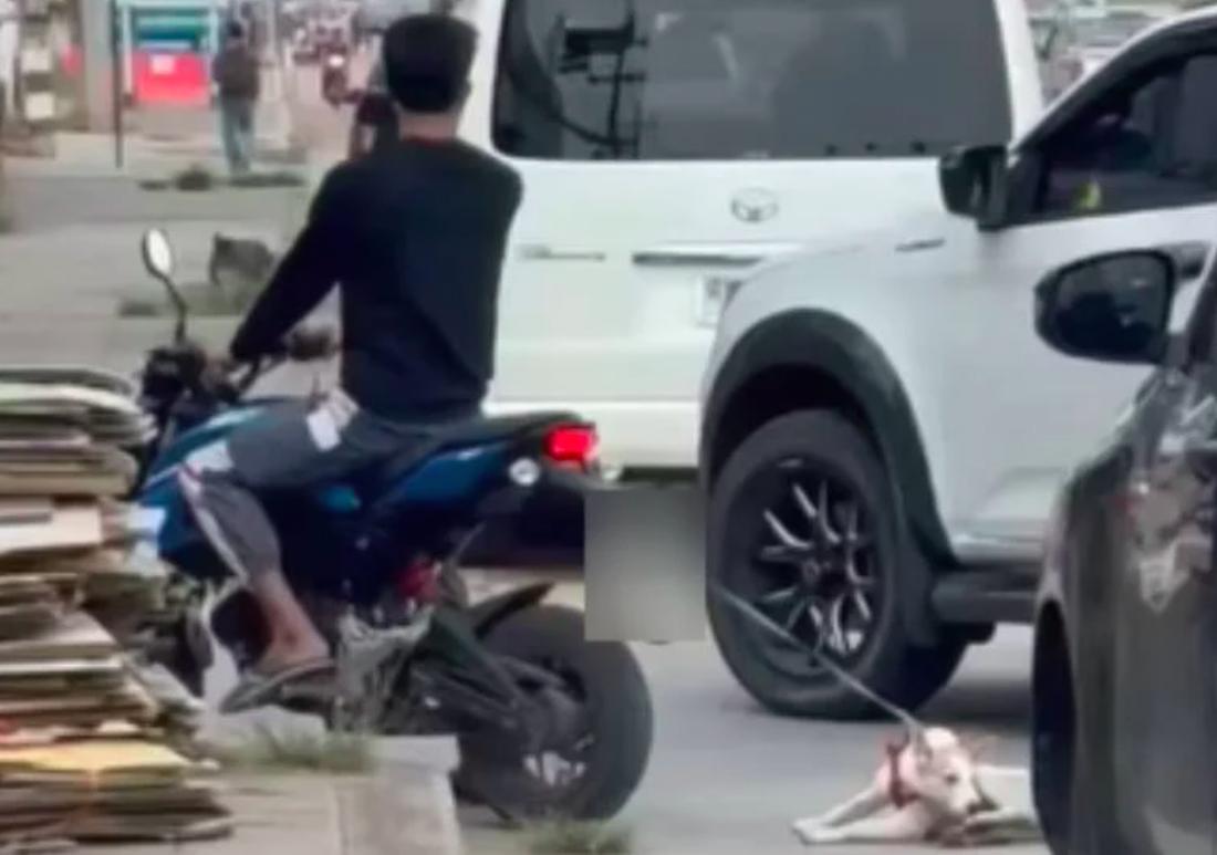 Байкера оштрафовали за то, что он протащил собаку по Корату