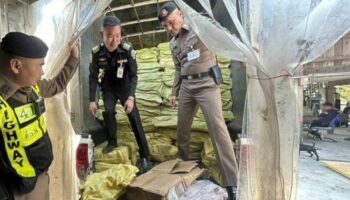 Более 8000 китайских продуктов питания изъяты из-за отсутствия одобрения FDA