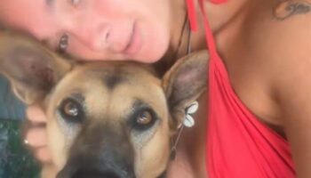 Британка живет на Самуи без арендной платы с собаками (видео)