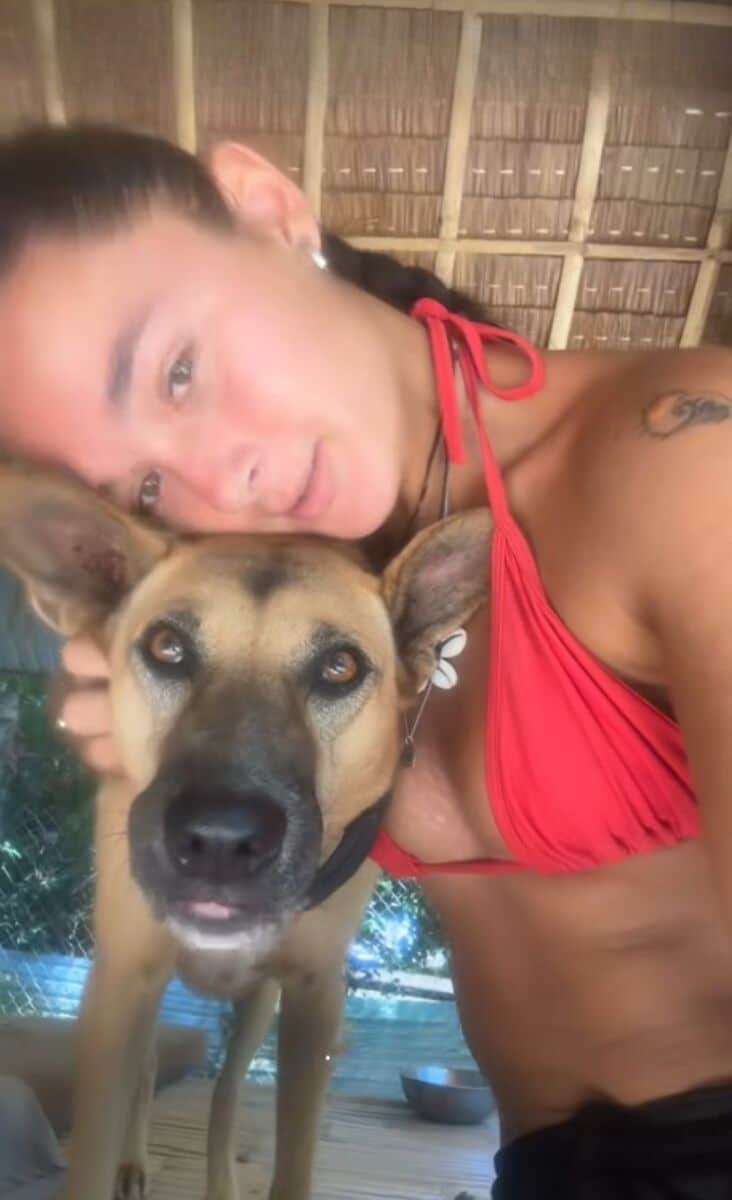 Британка живет на Самуи без арендной платы с собаками (видео)