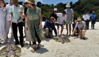 В октябре в 6 морских парках будет запущена новая система электронных билетов