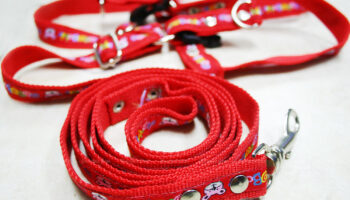 Вяленое мясо приземляется дуэтом в собачьей будке