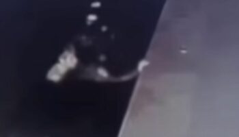 Громкий всплеск: тайский тренер по плаванию отрицает сексуальное насилие над ученицей