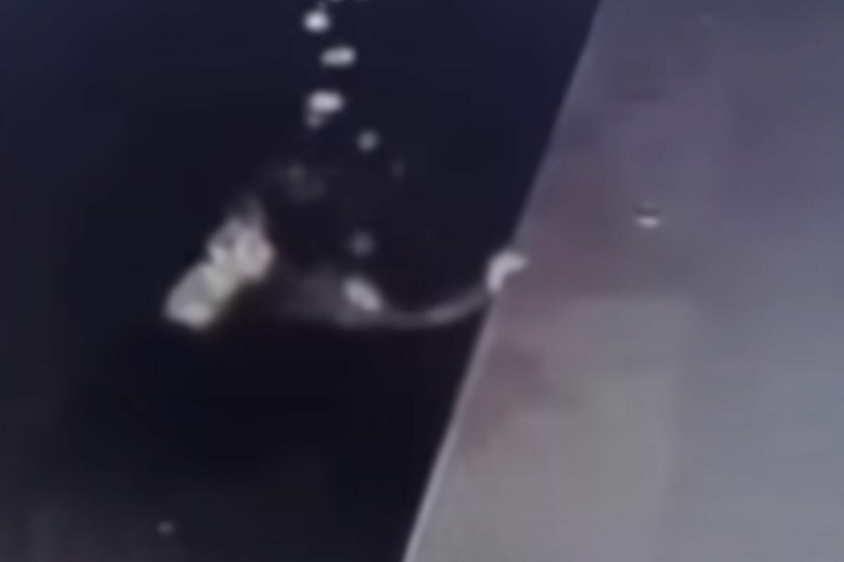 Громкий всплеск: тайский тренер по плаванию отрицает сексуальное насилие над ученицей