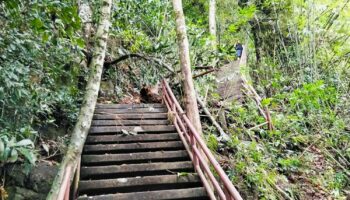 Двое туристов пострадали в результате оползня у водопада