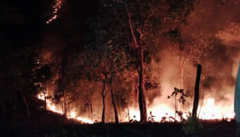 Доброволец погиб в результате несчастного случая после утомительного дня борьбы с лесными пожарами